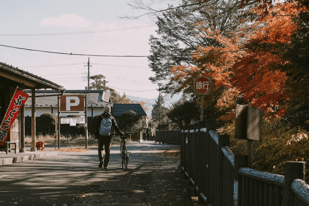 Japan Travel Guide