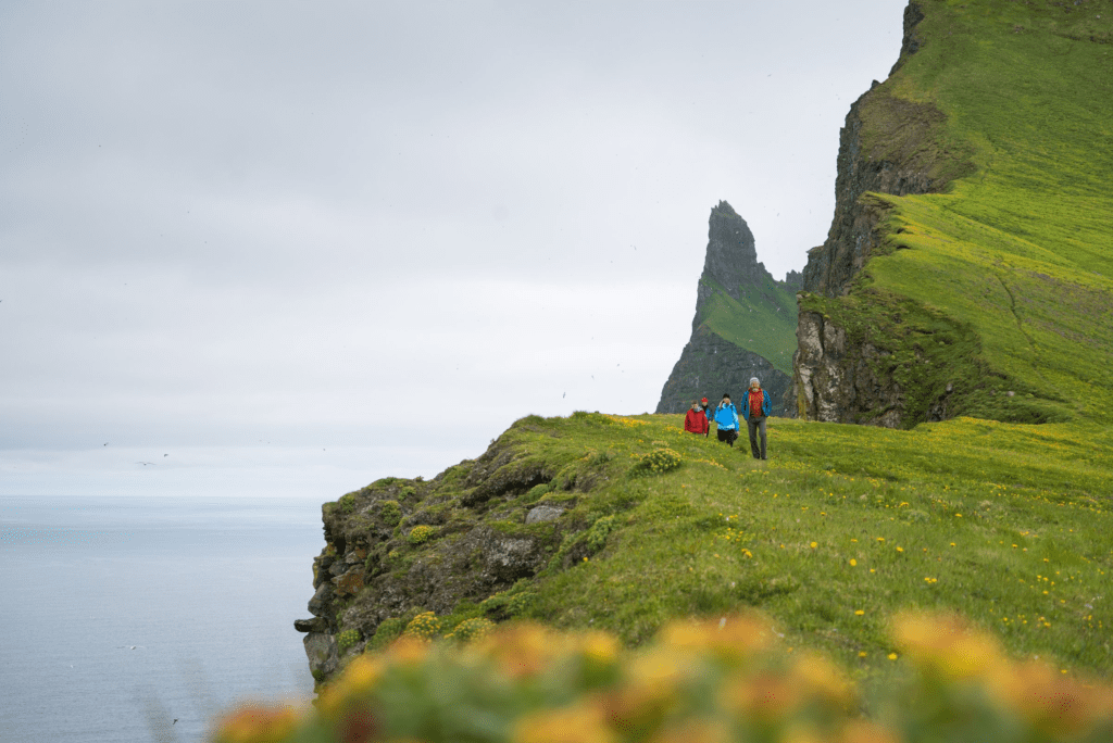 Hornstrandir Nature Reserve – A Remote Arctic Wilderness
