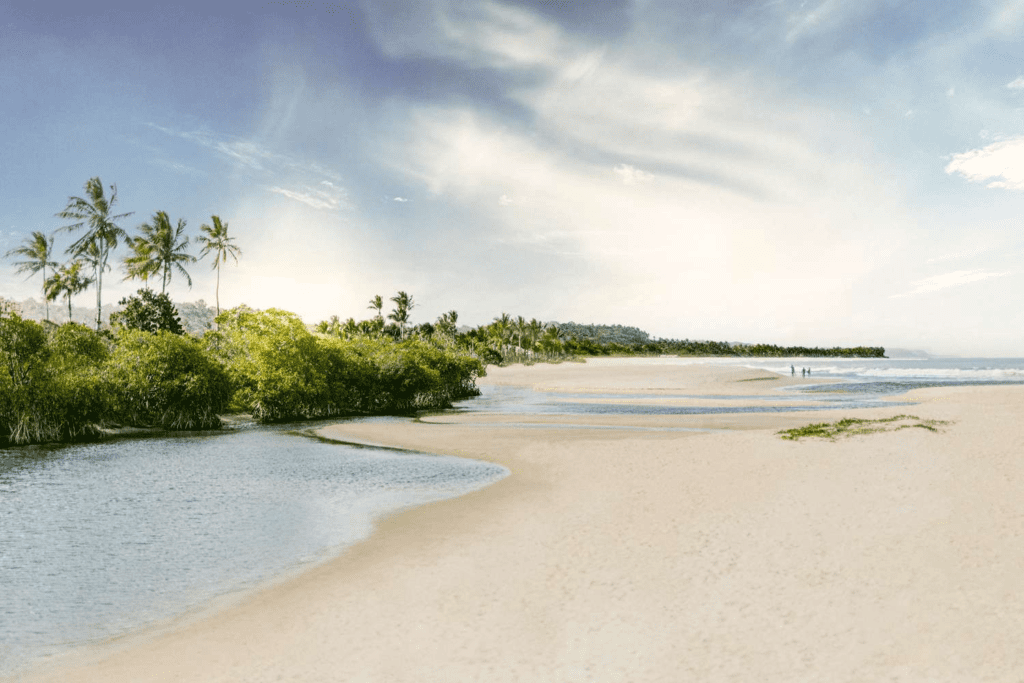 Aerial view of a secluded beach in Trancoso, Brazil.