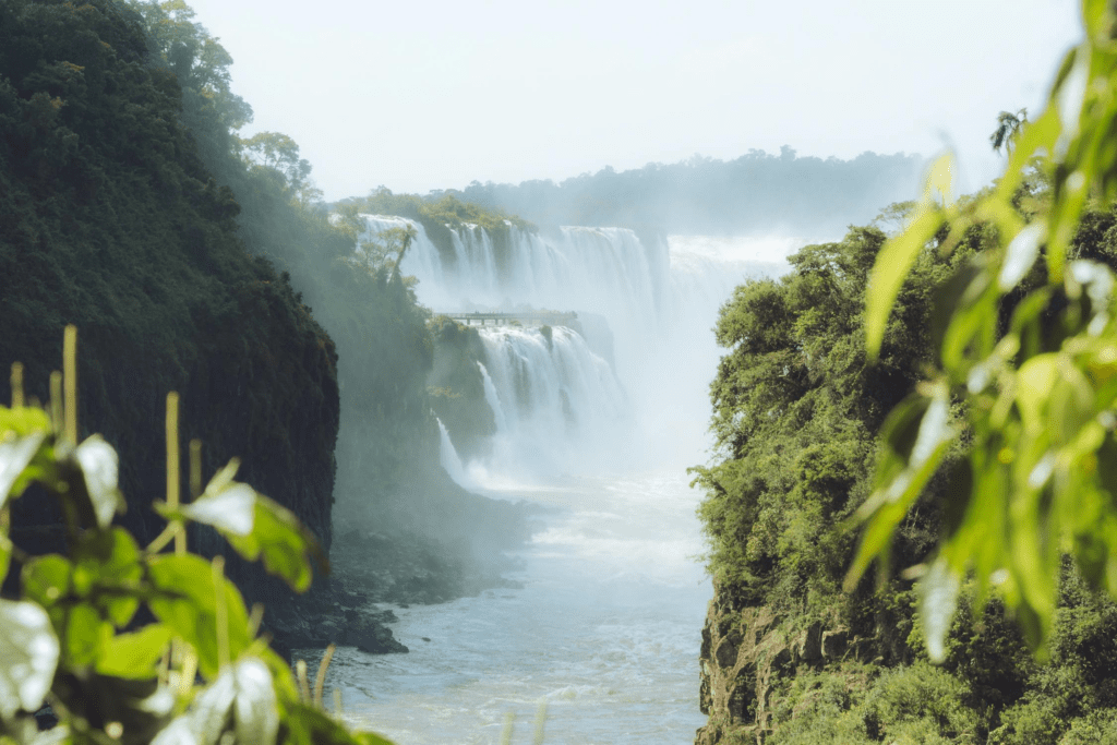 A panoramic view of Iguazu Falls from the Argentine side
